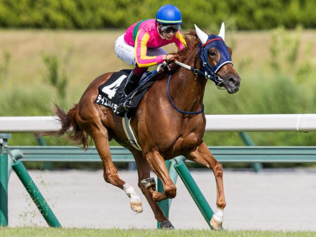 【秋華賞】富田暁騎手がGI初制覇なるか 3連勝中のテイエムアイランで逃げ切り狙う
