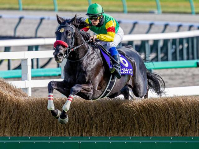 【東京HJ】障害王のエコロデュエル オジュウチョウサン以来となるGI馬の戴冠なるか