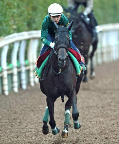 【秋華賞】「息を乱すことなく平然と…」無敗モンローウォークは坂路で軽快な走り　上村調教師「スターホースになっていけるだけの資質」