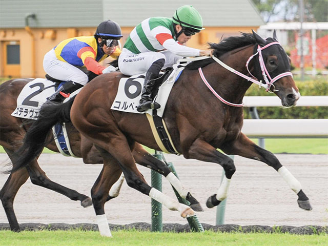 2歳女王レシステンシアの初仔 コルベータが初勝利なるか
