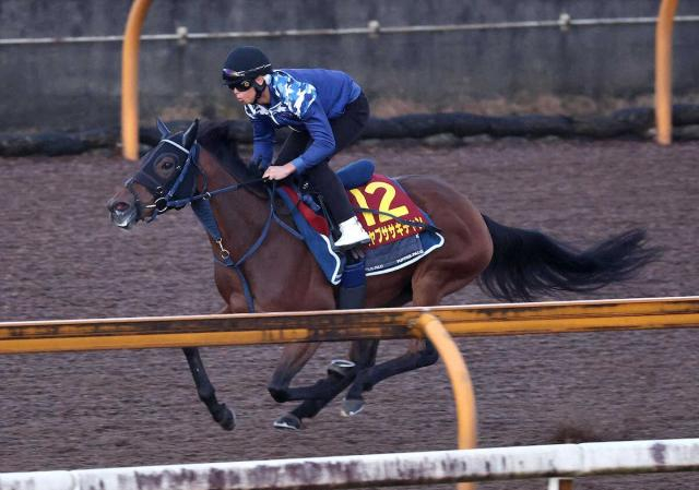 【秋華賞】ハヤブササキチャン　馬なりシャープ1F11秒4　東田師「いい動きだった」
