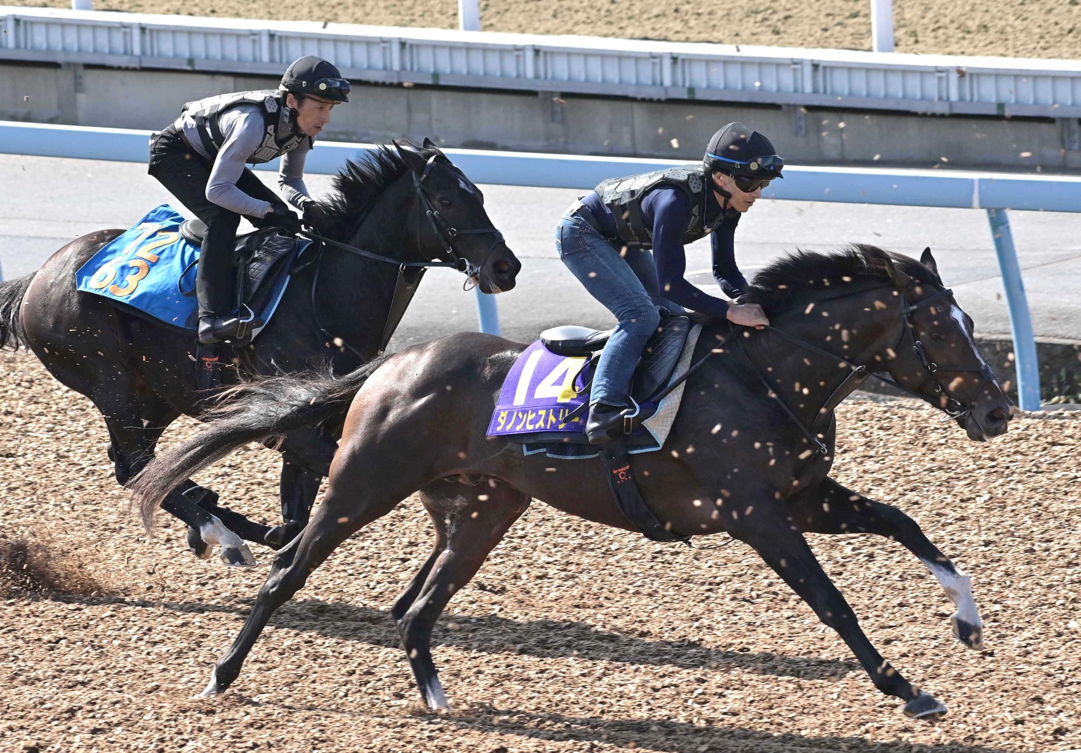 【菊花賞】ダノンヒストリー　息遣い問題なし　健康状態は良好