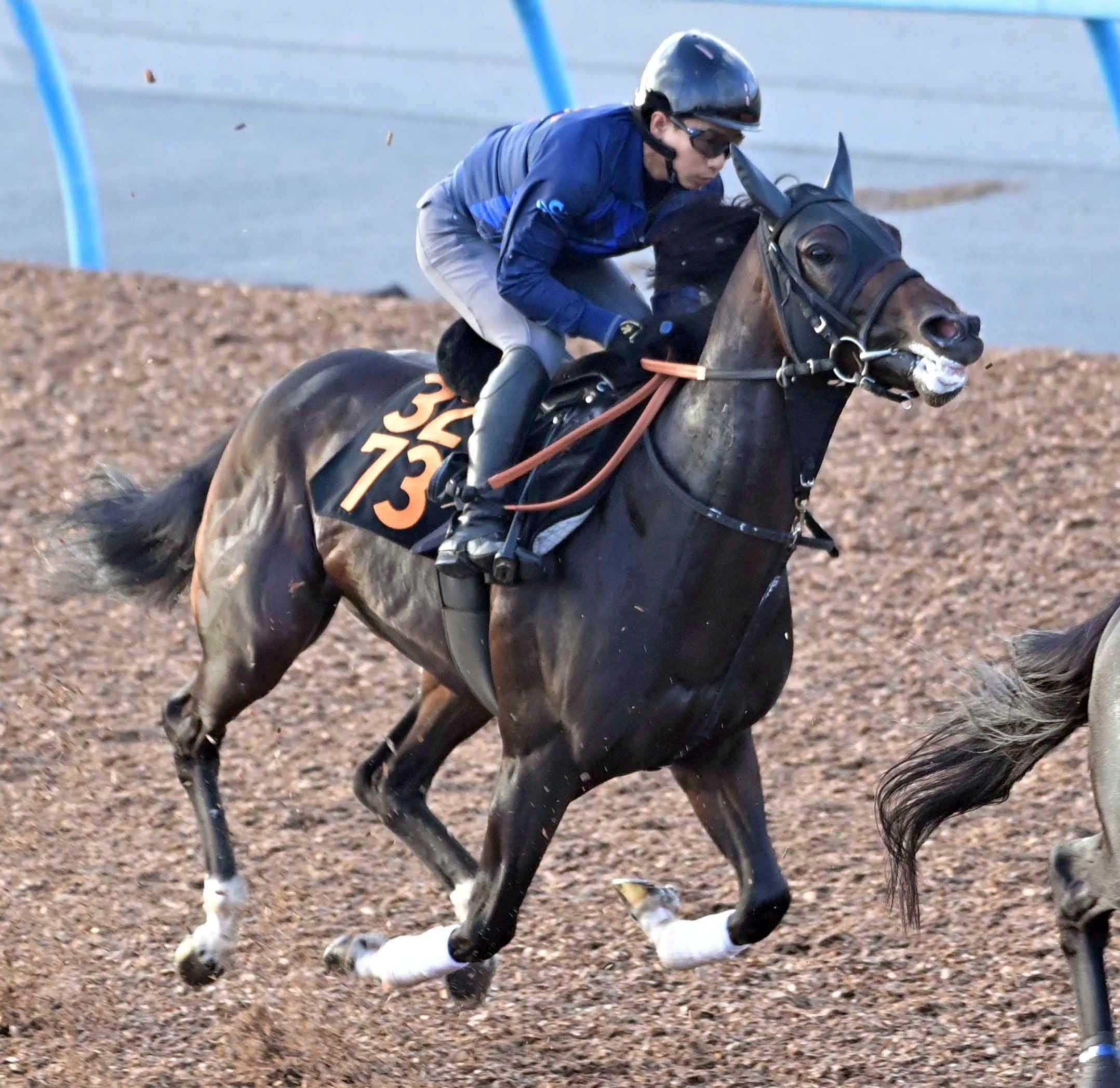 【新馬戦】厩舎期待の良血馬ジェットシェヴロン　潜在能力の高さ疑いなし