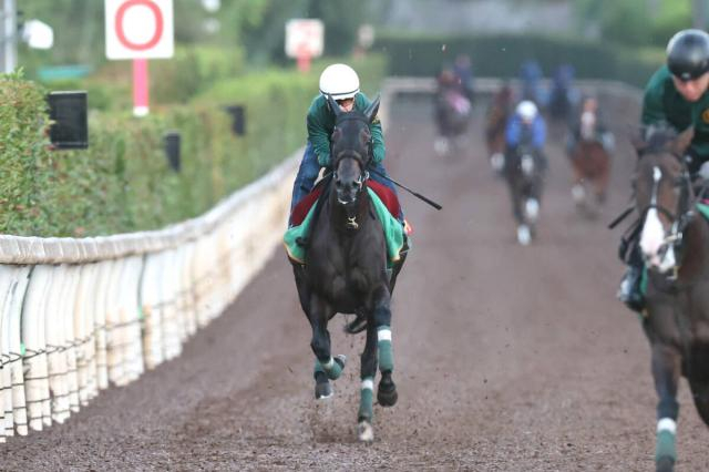 【秋華賞】「スターホースになっていけるような資質を持った馬」モンローウォーク最後の1冠へ坂路楽々53秒2