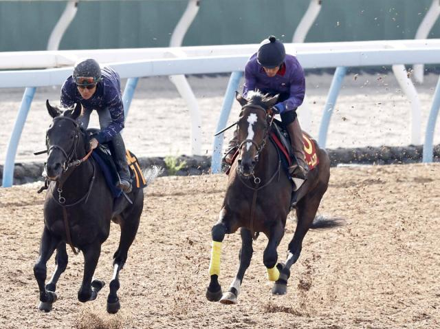 【秋華賞】母は国内外G1・2勝の超良血馬が前走比21キロ増　調教後馬体重が発表　オークス2着馬ドリームコア