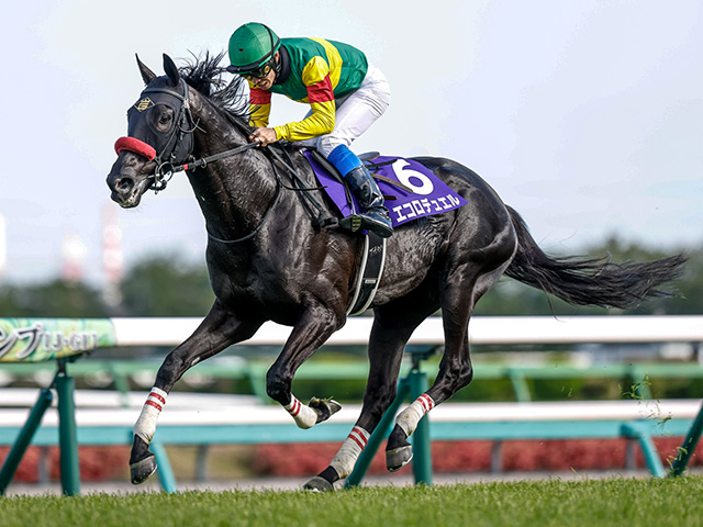 【東京ハイJ枠順確定】エコロデュエルは6枠6番、ジューンベロシティは8枠9番