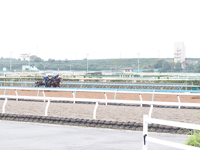 ふるさと納税でトレセン見学！ 茨城県美浦村が10月28日に村内ツアー実施