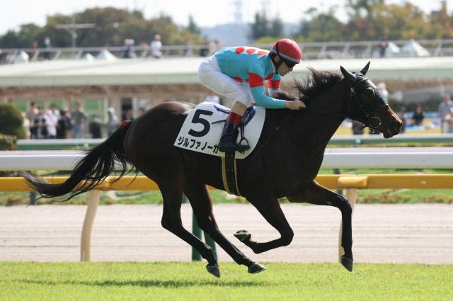 【東京4R・新馬戦】ジルファノーガが初陣V!　ルメール絶賛「真面目で乗りやすい。瞬発力がある」