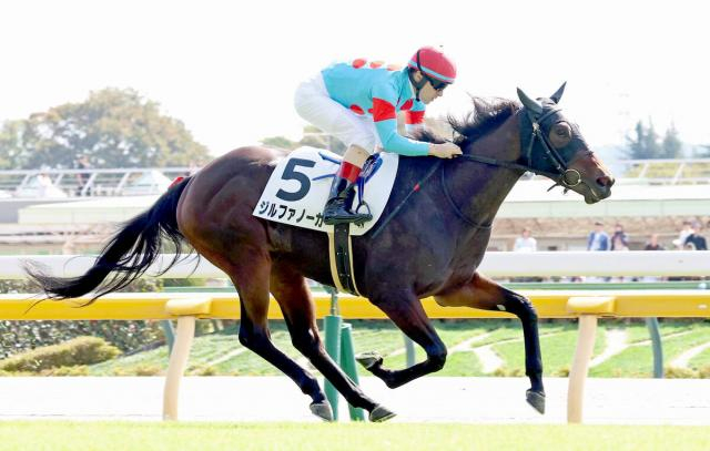【東京4R・2歳新馬】1番人気ジルファノーガ父にJRA初勝利をプレゼント　ルメール騎手も褒める「真面目で...」