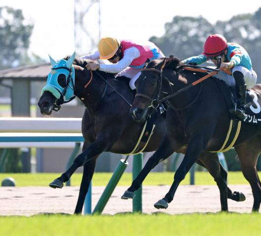【京都8R・もみじS】鼻、鼻差でタイム差なしの大接戦を制したのはロンドンガーズ　松山弘平騎手「着差以上に強かったと思います」