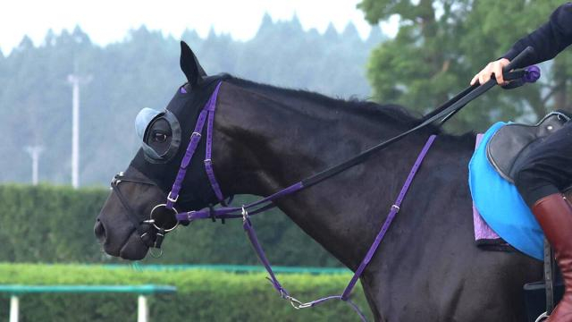 【富士S】痛恨の出遅れ…ルメール騎手が騎乗した1番人気のトロヴァトーレはまさかの12着　「スタートから全然...」