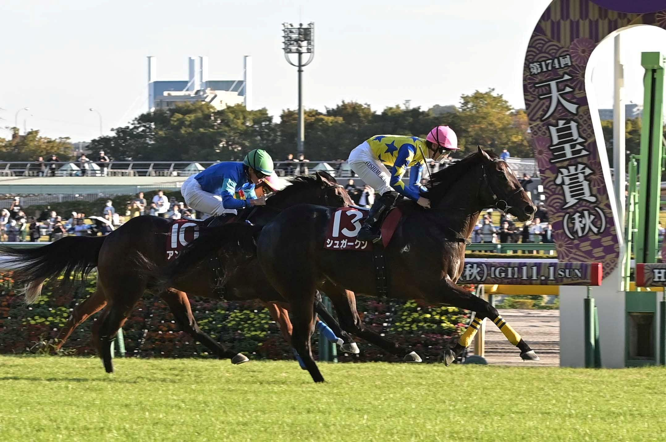 【富士Ｓ】キタサンブラックの半弟１２番人気シュガークンが豪快な差し切りで約２年半ぶりの重賞２勝目　吉村「プラン通り運べませんでしたが、強い競馬。想像以上にいい脚でした」　３連単２３万３３００円と波乱の決着