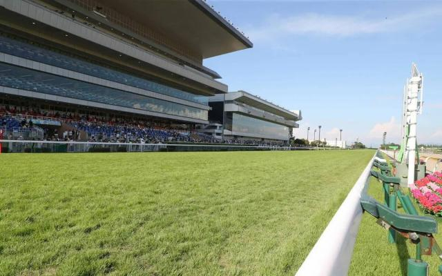 単勝125・9倍の最低人気馬が芝替わりで激変!大荒れの新潟8Rに「マジで買えない」「ここまで走りが…」