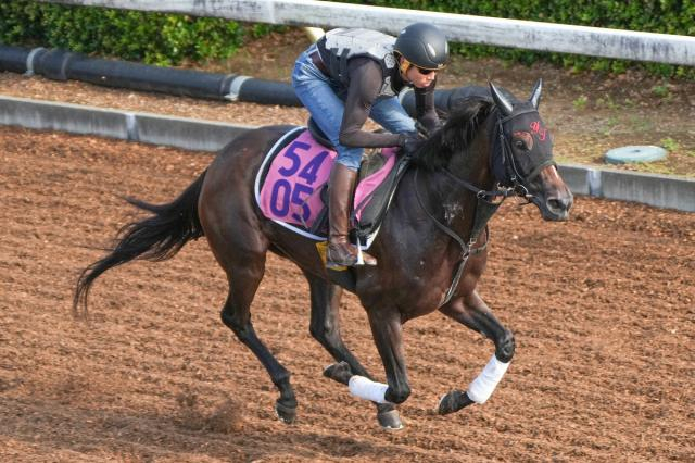 【秋華賞】(10)ナイスプレーアスク　亡き師に勝利を　陣営「先生もどこかで見ているんじゃないかな」