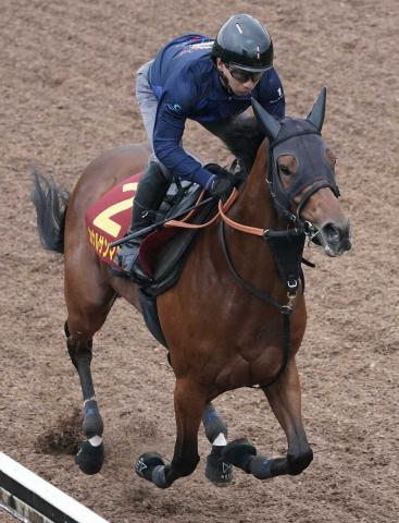 【秋華賞】(12)カナルサンマルタン　岩田望に任せた　宮田師「心強い」