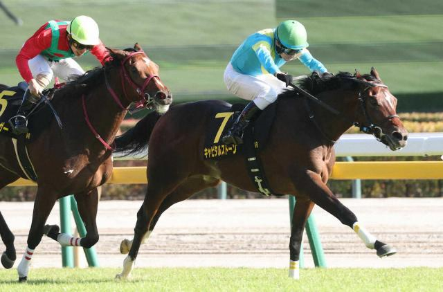 【アイビーS】11番人気キャピタルストーン　1番人気の猛追しのいだ　大野「まだ伸びしろがありそう」
