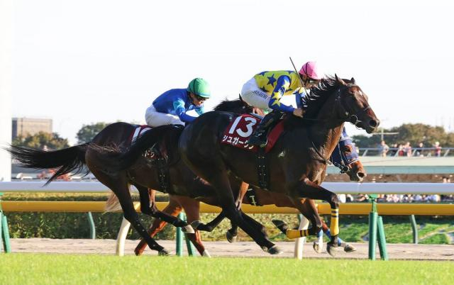 【富士S】G1・7勝の顕彰馬の半弟シュガークンが直線ごぼう抜きで完全復活!清水久師「切れましたね。さすが弟」