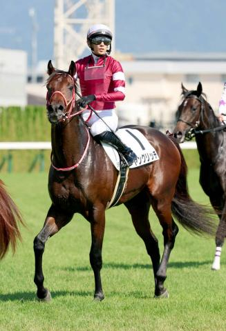 【京都5R・2歳新馬】坂井瑠星騎手「次につながる内容」フォーエバーヤングの半弟は3着　3億円馬ヤングリッチ追い上げ及ばず