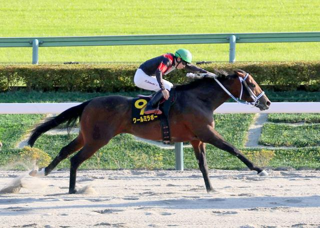 【ブラジルC】この日4勝と絶好調の横山武史騎手がクールミラボーをVへ導く　「狙ったところを取れました」