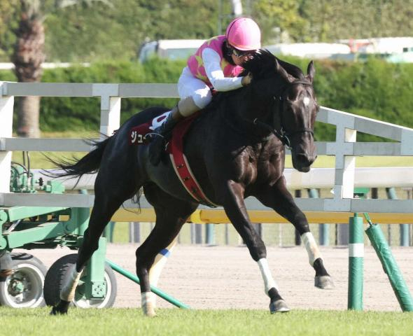 【東京ハイジャンプ】ジューンベロシティ　逃げ切り3連覇!　高田「しっかり力を出せた」