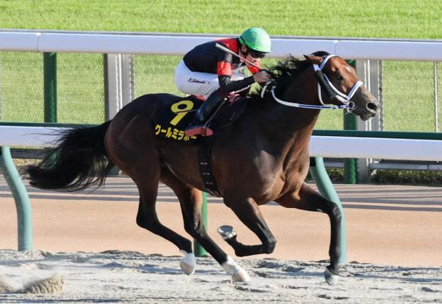 【ブラジルC】クールミラボー　OP3勝目　横山武「いい内容で勝てた」