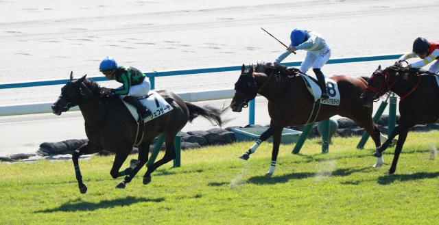 【京都新馬戦】シェフザーデ　3馬身差の快勝　野中師「センスがいい」