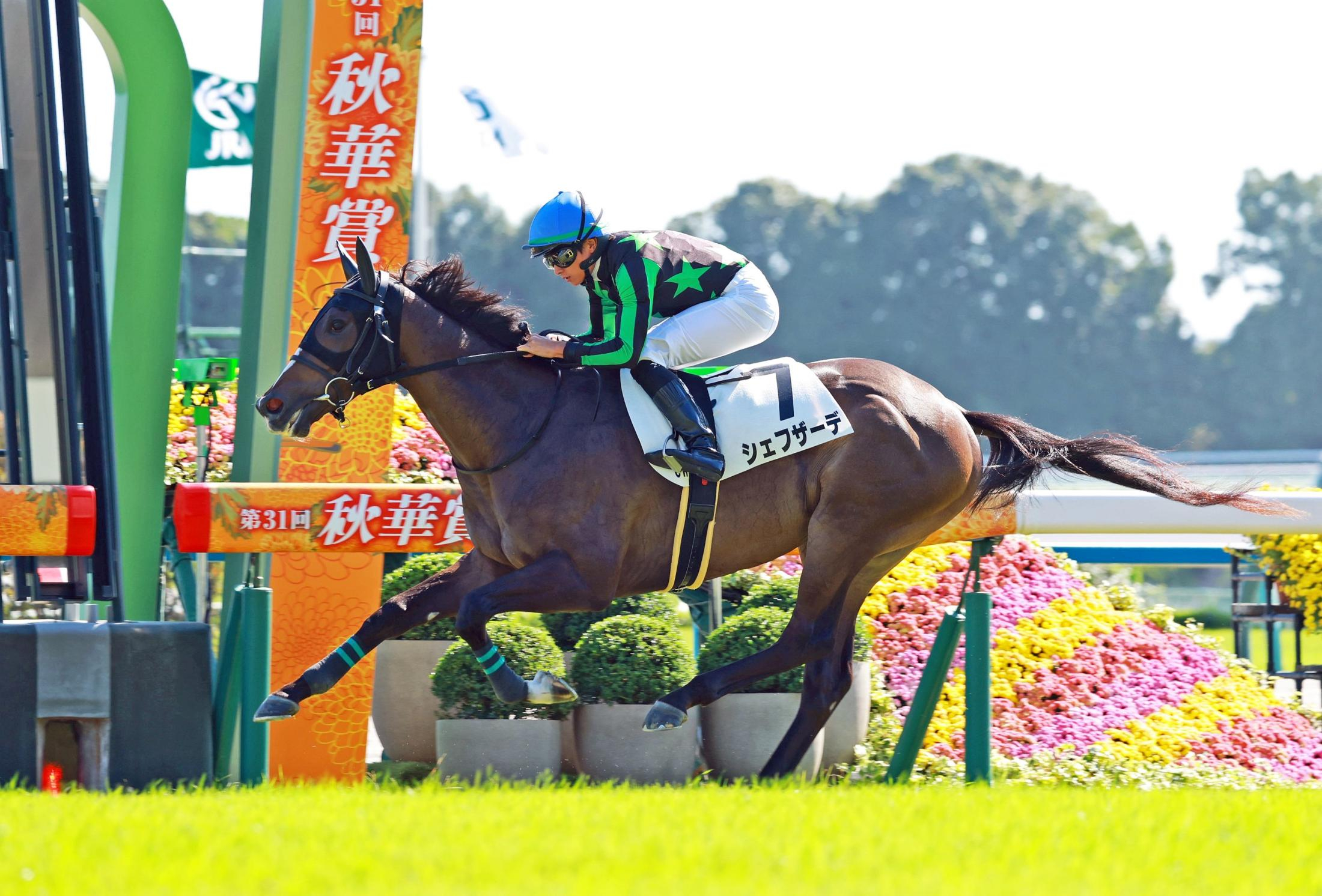 【新馬戦】シェフザーデ　３馬身差完勝　岩田望「調教通りでいい競馬でした」