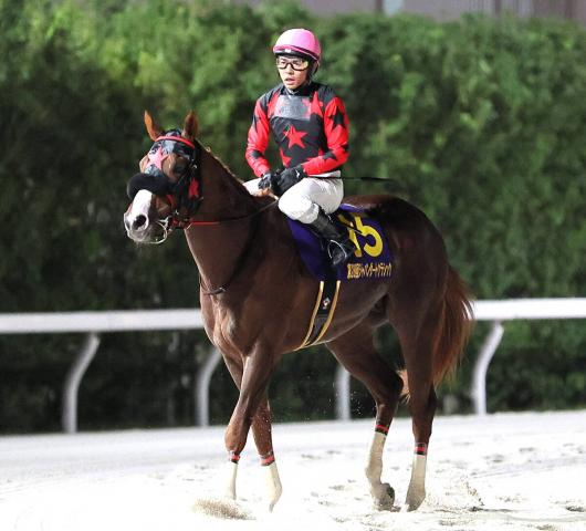 【注目馬動向】イッテラッシャイは浦和記念を視野　ジャパンダートクラシック16着からの反撃へ