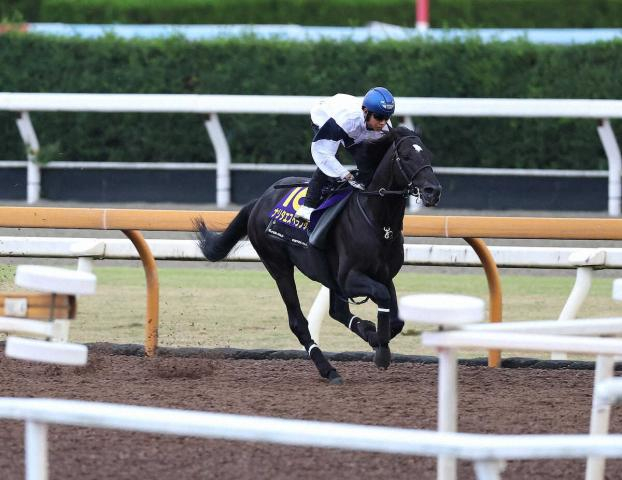 【菊花賞】ナリタエスペランサ　しまい好リズム1F11秒8　北村友「フットワークが軽かった」
