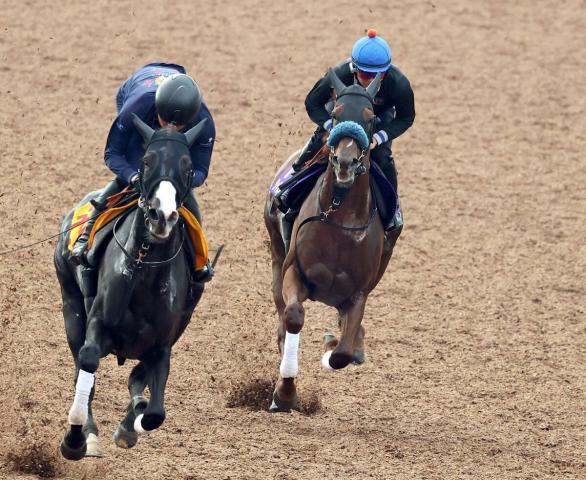 【菊花賞】「当然、負かすつもりで臨みます」原優介騎手がジャスティンシカゴに抜群の手応え
