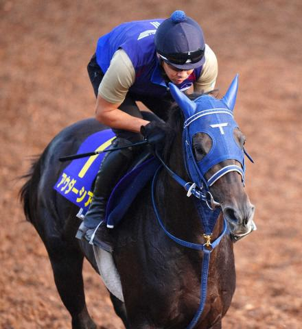 【菊花賞】(3)アウダーシア　馬体締まり順調　手塚久師「有力馬を見ながら運べれば」