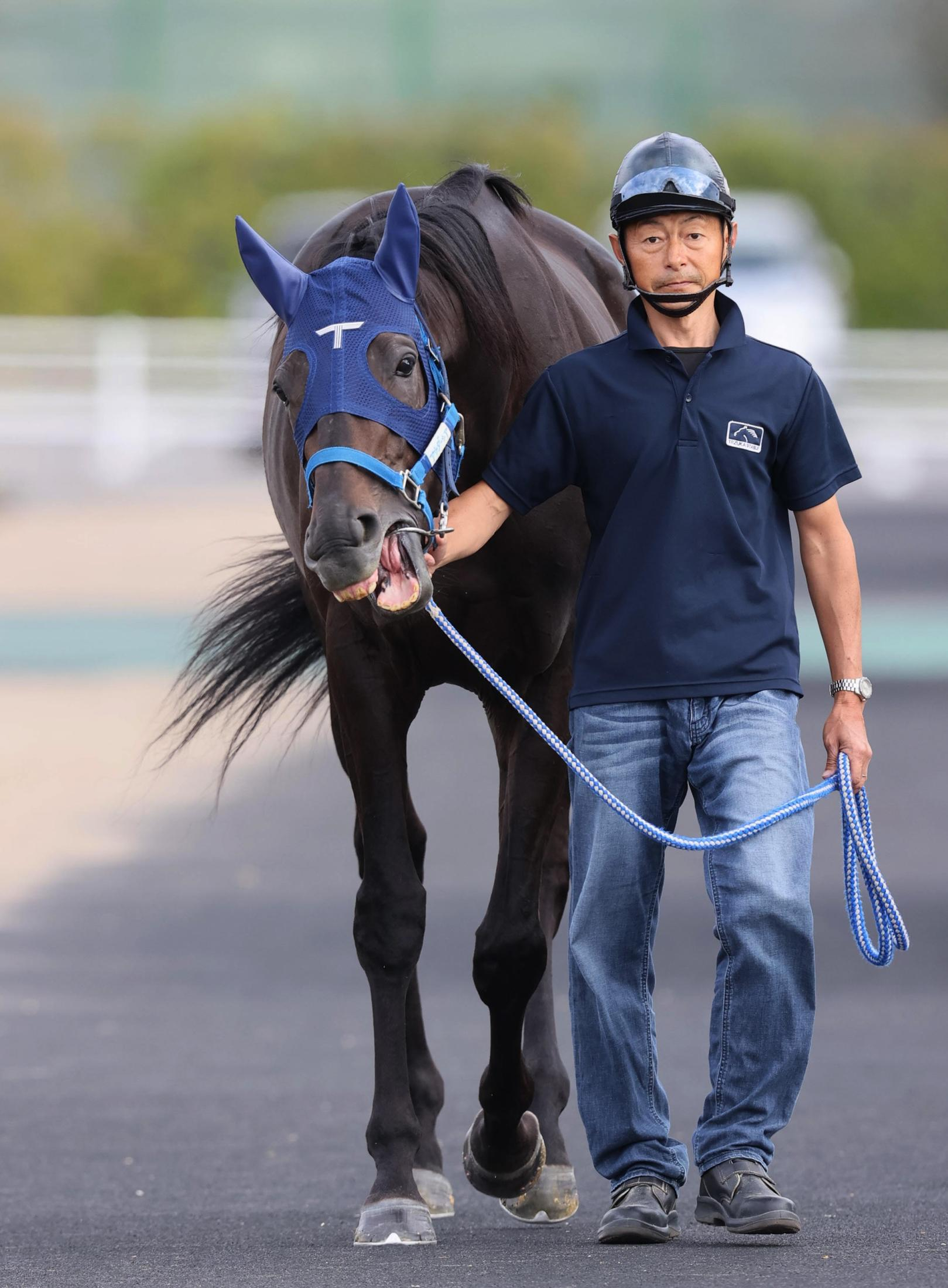 【菊花賞】アウダーシア　内枠２枠３番はプラス要素　手塚久師「１周目はコンコースを回りたいので」