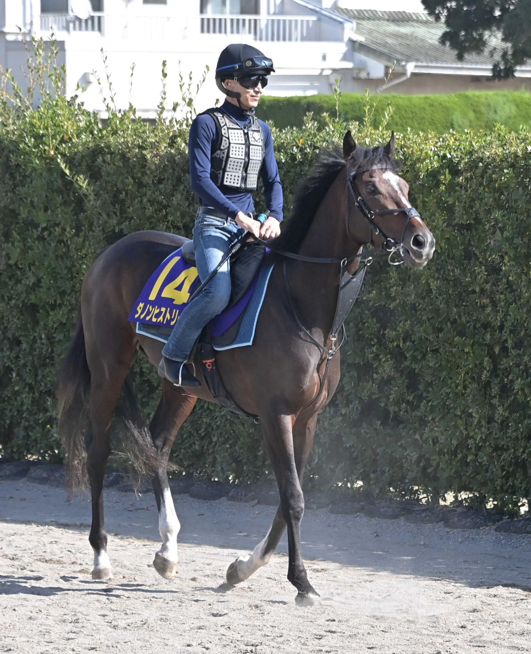【菊花賞】ダノンヒストリー　京都到着に一安心　堀師は枠順よりも天候、馬場「ジョッキーと共有していい結果を」