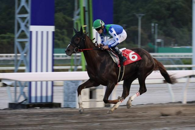 【ネクストスター高知】準重賞を連勝中のリケアボレロに大恵陽子が注目　渡辺竜也騎手「まだ奥がありそうな背中です」