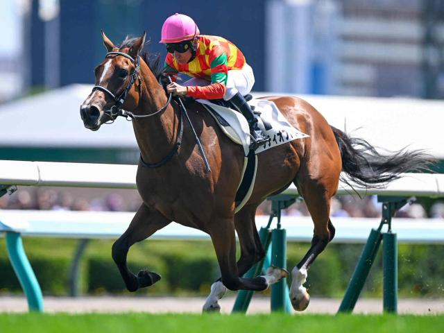 【アルテミスS予想】阪神JFへ向けた重要な前哨戦 瞬発力問われる東京マイル