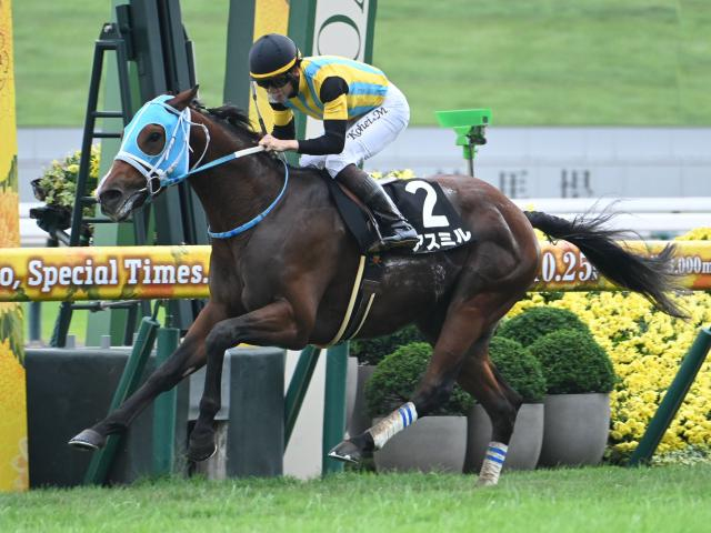 【長岡京Sレース後コメント】アスミル松山弘平騎手ら