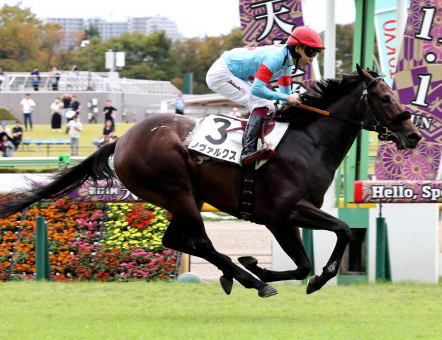 【東京5R】「想像以上」エフフォーリア産駒ノヴァルクスが別次元の末脚で初陣V　父の主戦・横山武史騎手も驚く