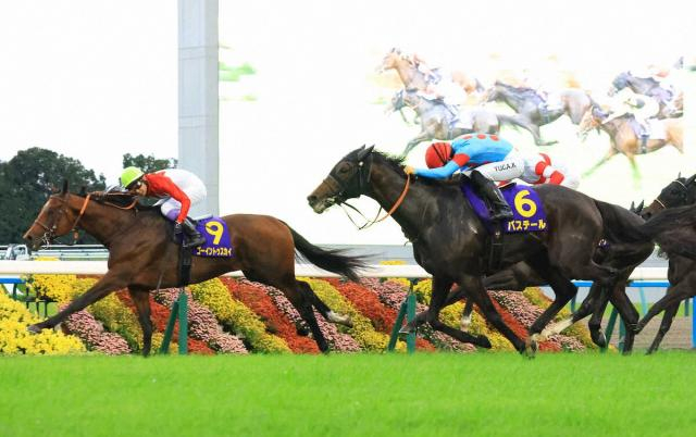 【菊花賞データ】ゴーイントゥスカイV　関東馬強し!6年連続で勝利