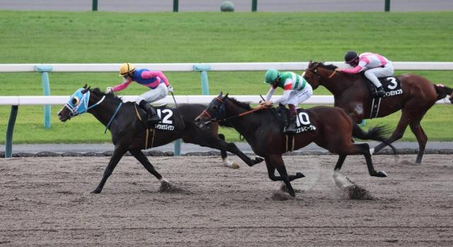 【京都10R・カノープスS】12番人気のメイショウズイウンが豪快に差し切る　幸英明騎手「能力がある」